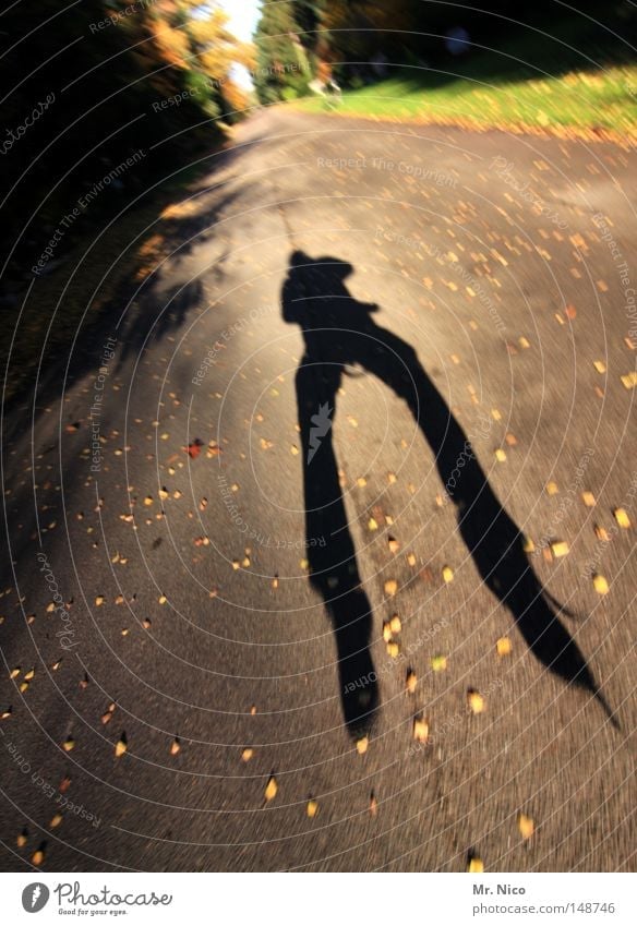 ! gnirps Hop Jump Shadow Self portrait Erratic Tall Legs apart Bandy legs Man Masculine Fellow Human being Action Blur Autumnal Leaf Sun Airplane Park Asphalt