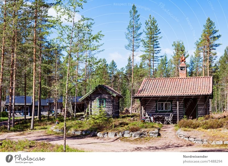 Northern Europe Harmonious Sauna Vacation & Travel Tourism Summer Nature Beautiful weather Forest House (Residential Structure) Hut Architecture Lanes & trails