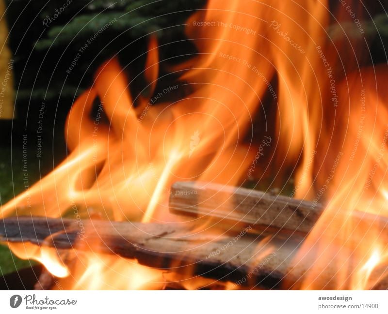 campfire Physics Burn Wood Blaze Fireplace Warmth Flame