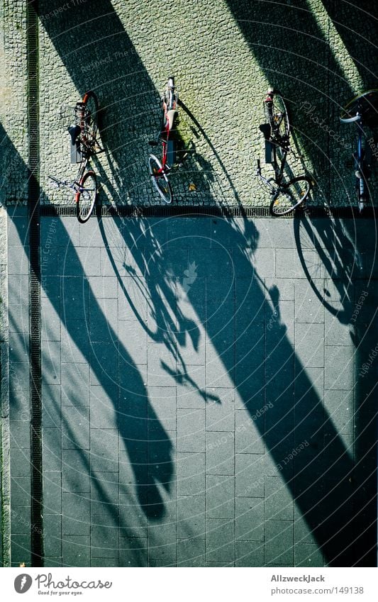 shadow parker Bird's-eye view Bicycle Shadow Sidewalk Pattern Bicycle lot Parking Autumn Transport Paving stone