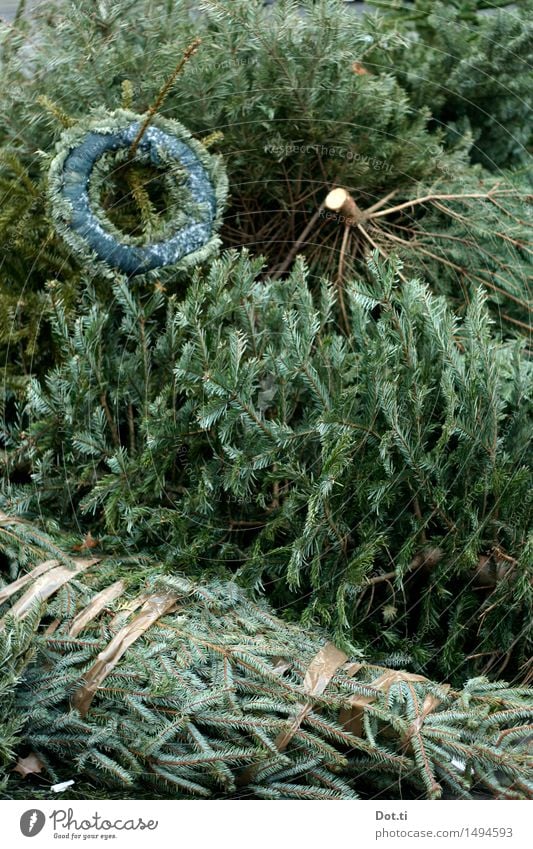 Christmas trees disposal Christmas & Advent Tree To dry up Old Green Squander Decline Transience Throw away Dispose of Christmas wreath Heap Stack