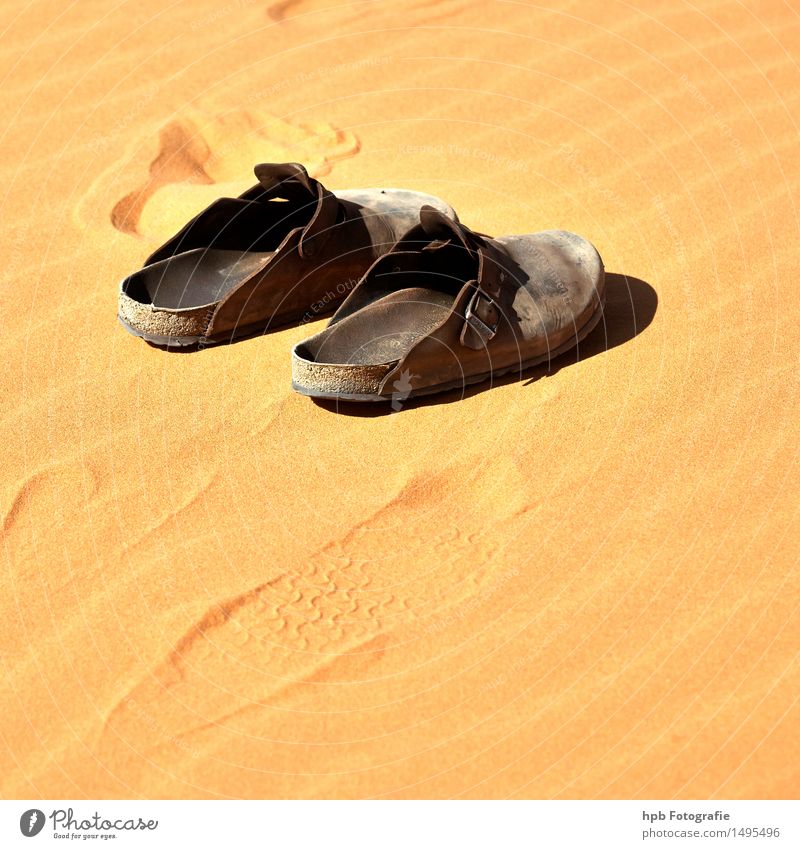 Sandals in the sand Vacation & Travel Tourism Trip Adventure Nature Landscape Sun Summer Climate Desert Clothing Leather Footwear Movement Fragrance Going Stand