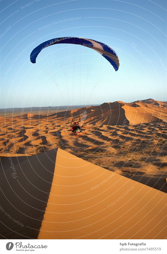 Flight in the Sahara Sports Aviation Nature Landscape Sand Air Cloudless sky Summer Beautiful weather Warmth Drought Desert Aircraft Movement Flying To enjoy