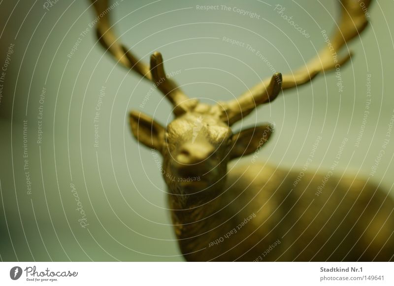 golden reindeer Reindeer Gold Antlers Nostrils Ear Pointed Eyes Snout Head Frontal Unclear Blur Motionless Figure Decoration Mammal