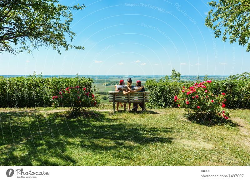 Gate to the lowlands Trip Far-off places Freedom Summer Sun Human being Friendship 3 Group Nature Plant Cloudless sky Beautiful weather Flower Bushes Rose
