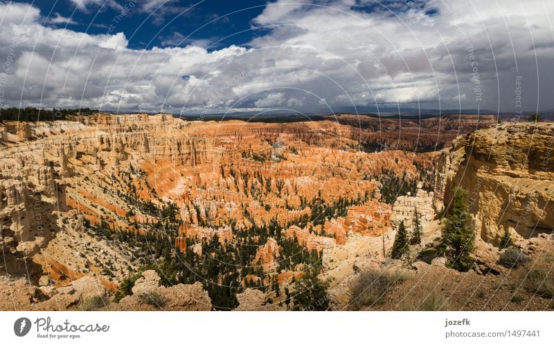 Inspiration Point Vacation & Travel Tourism Nature Landscape Summer Pine Canyon Bryce Canyon Hiking Natural Beautiful Blue Green Orange Red Colour photo