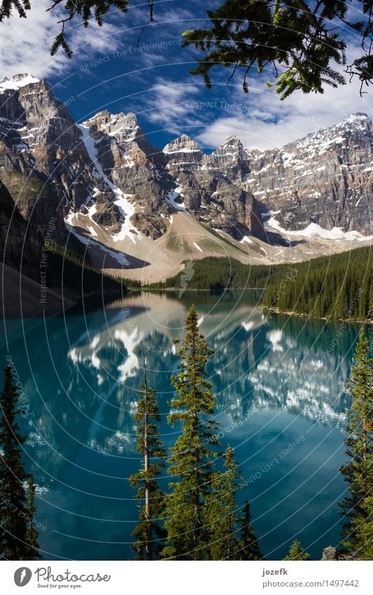 A Look Through The Trees At Moraine Lake Vacation & Travel Tourism Nature Landscape Water Summer Beautiful weather Forest Mountain Rocky Mountains Moraine lake