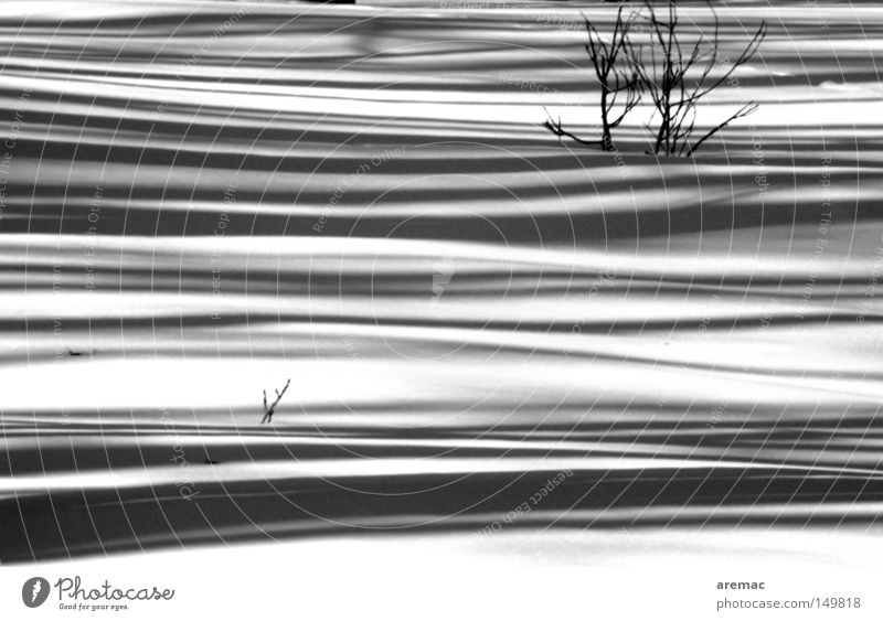 shadow play Snow Winter Cold White Black Shadow Abstract Landscape Black & white photo