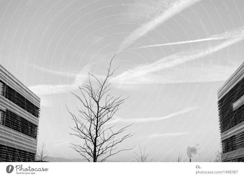 FH Environment Nature Sky Clouds Autumn Winter Weather Beautiful weather Tree Duesseldorf High-rise Building Architecture Facade Chimney