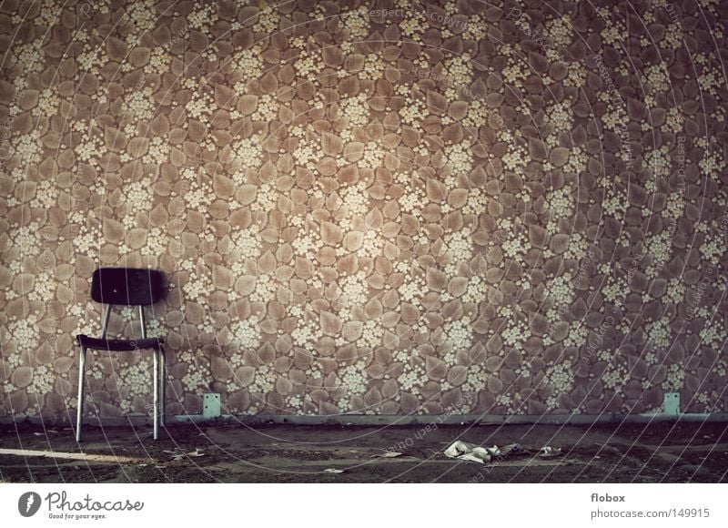 dead chic Wallpaper Wall cladding Paper Photo wallpaper GDR Sixties Seventies Year The eighties Old-school Retro Pattern Hideous Seating Loneliness Sunlight