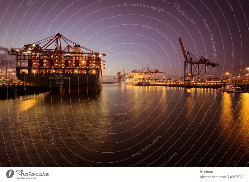 Safe in the harbour Hamburg Harbour Night Container Container ship Light Cargo-ship Erase