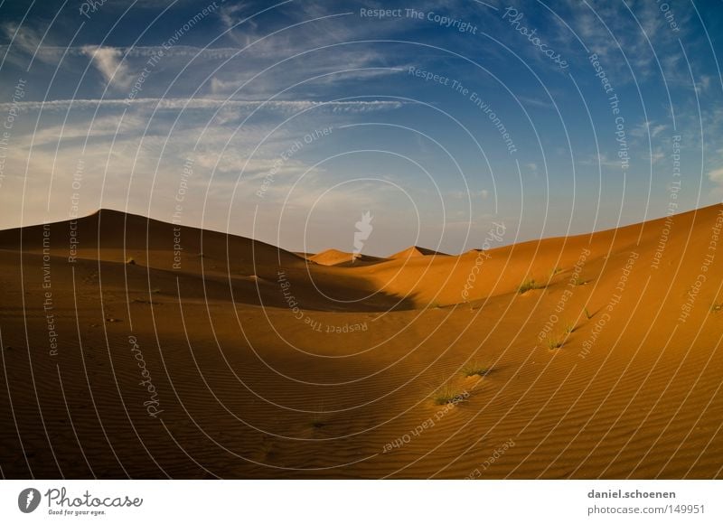 to warm up Desert Sand Dubai Oman United Arab Emirates Arabia Dune Red Yellow Blue Sky Dry Warmth Wind Environment Climate Vacation & Travel Travel photography