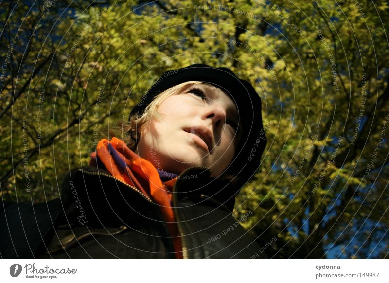 Autumn Timothy I Seasons Leaf Multicoloured Yellow Tree Nature Time Wind Human being Woman Feminine Portrait photograph Heat To enjoy Relaxation Connectedness