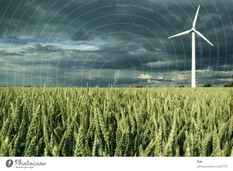 Windmill02 Clouds Field Wind energy plant Nature Sky Grain Grain field Agriculture Far-off places Ear of corn