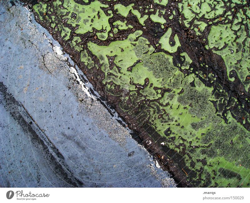 Weathered Green Blue Across Line Structures and shapes Pattern Stripe Asphalt Street Old Traffic infrastructure Floor covering Derelict