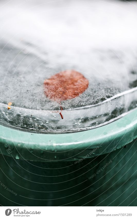 rain barrel Elements Water Winter Climate Ice Frost Leaf Deserted Ice floe Rainwater butt Cold Frozen Ice sheet Frozen surface Canned Within Transparent