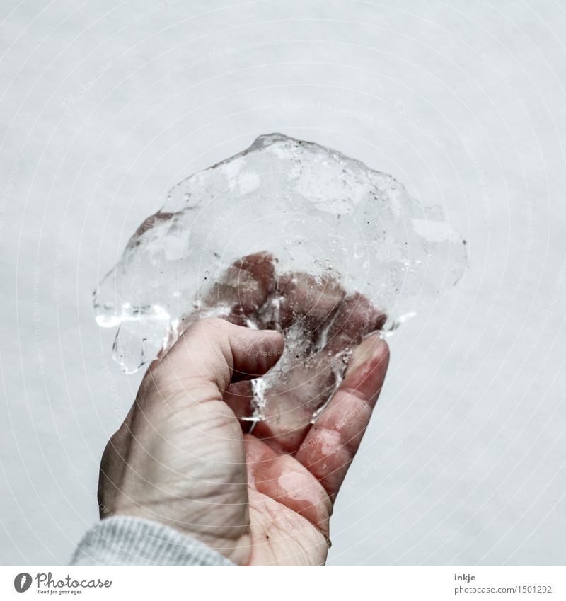 ice Lifestyle Leisure and hobbies Hand Elements Winter Ice Frost Ice floe To hold on Dirty Cold Wet Thaw Frozen Indicate Bright background Colour photo