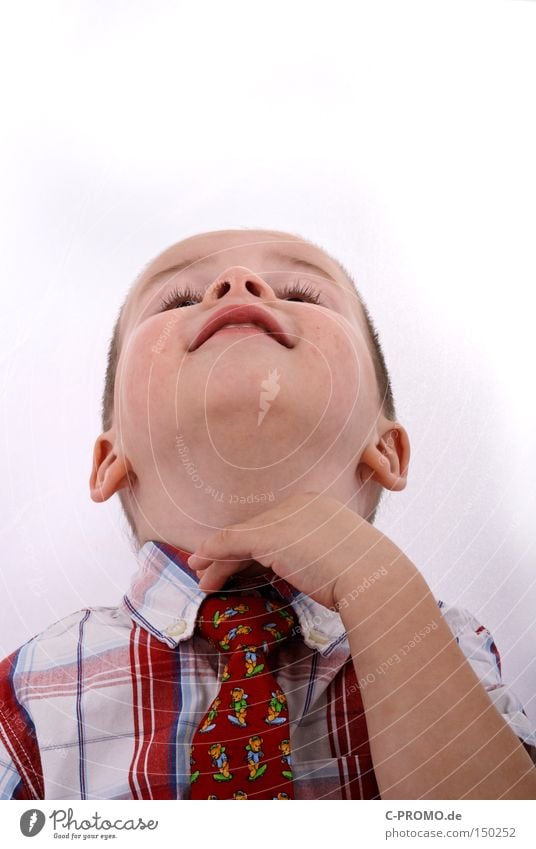 Boy straightens his tie and looks in the air Child Career Boy (child) Education Upward Tie Face Neck Isolated Image portrait Small Growth Party