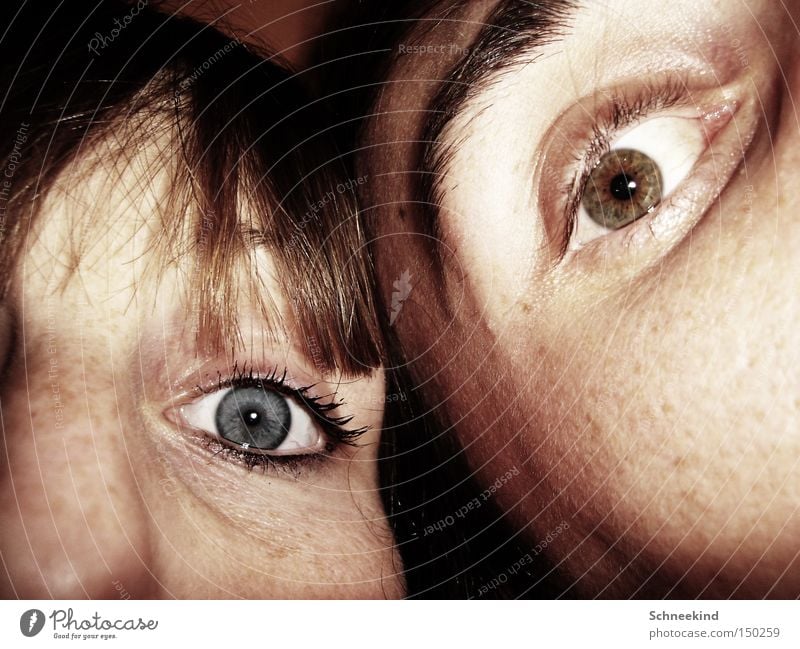 An eye for an eye Eyes Couple Blue Brown Face Half Eyebrow Eyelash Woman Man Shadow Joy Trust Detail