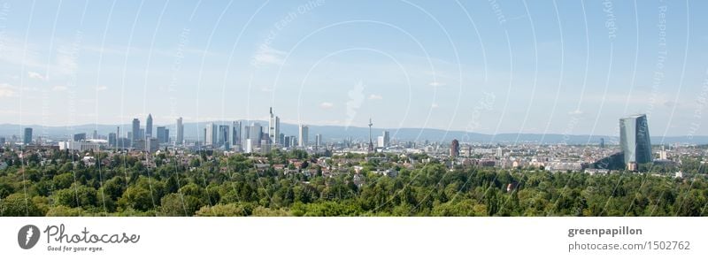 Frankfurt skyline Vacation & Travel Tourism Sightseeing City trip Nature Landscape Park Forest Main Germany Downtown Outskirts Old town Skyline High-rise