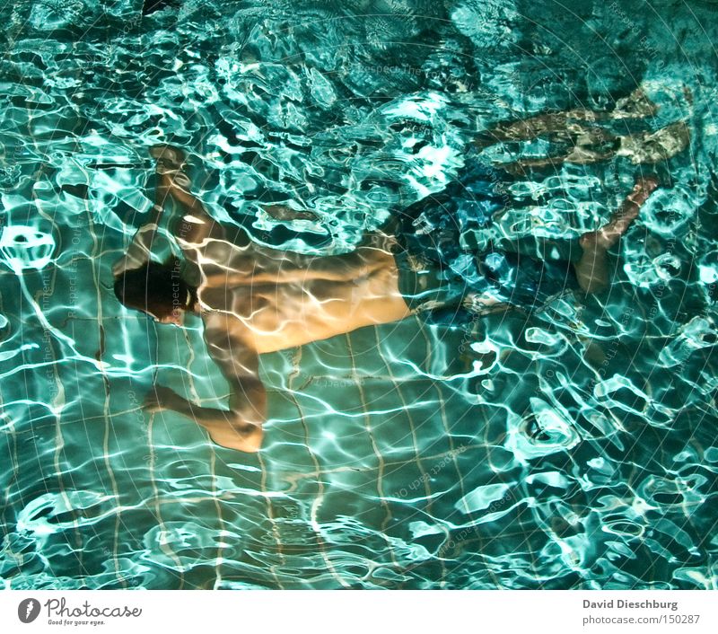 Diving addicted Body Wellness Life Spa Swimming & Bathing Leisure and hobbies Dive Swimming pool Human being Masculine Youth (Young adults) 1 Water Athletic