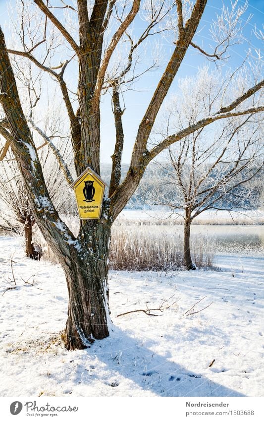 nature reserve Nature Landscape Cloudless sky Winter Climate Beautiful weather Ice Frost Snow Tree Park Lake Sign Signs and labeling Signage Warning sign