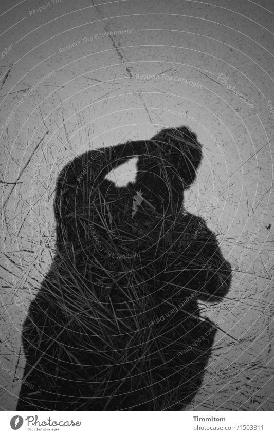 Beautiful shadow of a handsome old man. Hay Places Dark Gray Black Shadow Silhouette Human being Black & white photo Take a photo Exterior shot Deserted Day