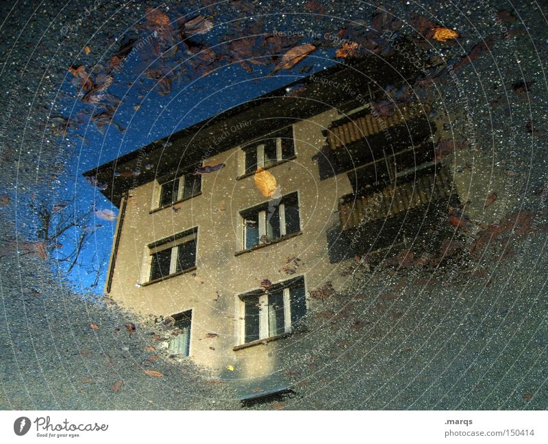 dreariness Cold House (Residential Structure) Wet Town Tenant Puddle Autumn Balcony Window Living or residing Flat (apartment) Backyard Landlord Reflection