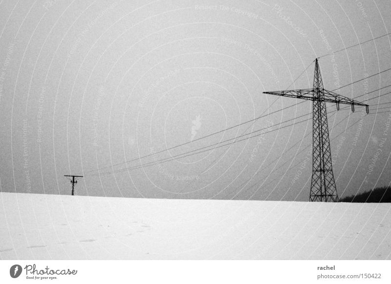Feel uncomfortable Winter Snow Energy industry Landscape Climate Weather Bad weather Ice Frost Dark Cold Gloomy Precipitation Electricity pylon