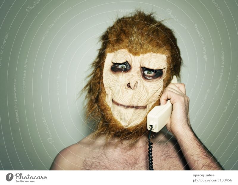 Vienna calling Monkeys Animal Dress up Mask Telephone To talk To call someone (telephone) Receiver Joy monkey face phone number Carnival
