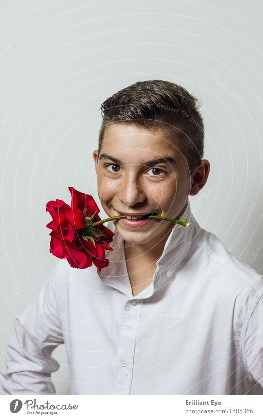 Rosenkavalier Leisure and hobbies Flirt Valentine's Day Masculine Boy (child) 13 - 18 years Youth (Young adults) pink Shirt Love Looking Cool (slang) Brash