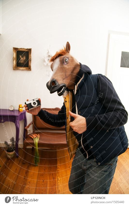 LP. HORSEMAN. XV Living or residing Flat (apartment) Party Carnival Hallowe'en Masculine Man Adults 1 Human being Horse Animal Exceptional Brash Friendliness