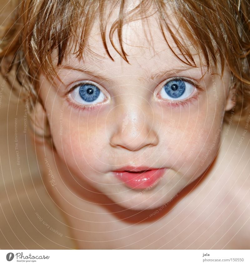 big blue eyes Eyes Blue Light blue Large Might Boy (child) Child Head Face Looking Toddler