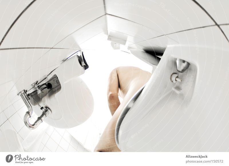 morning toilet Toilet Bathroom Worm's-eye view Naked Tile Fisheye Sink Piddler Bright White Man Clean Pure