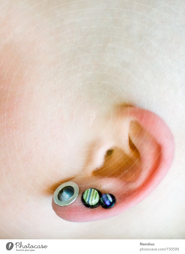 just listen Ear Listening Head Bald or shaved head Soft Pink Earring Piercing Audience Parts of body Whorl Smoothness Delicate Warmth Jewellery Near