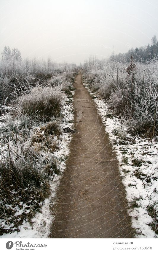 Frost in January Cold Loneliness Lanes & trails Target Snow Grief Gloomy Winter Sadness