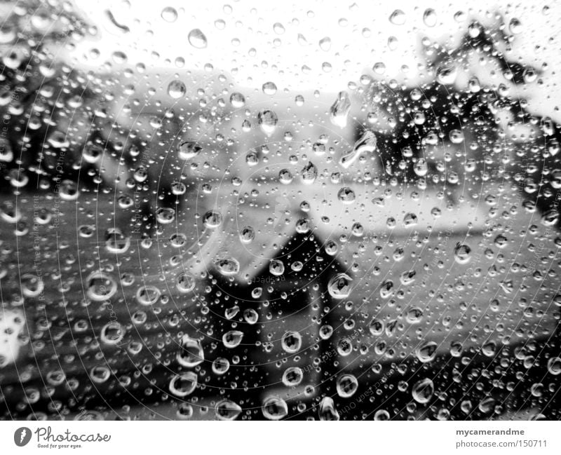 november rain Autumn Rain Drops of water Gray Cold Wet Loneliness Weather Window Glass Macro (Extreme close-up) October November Sadness