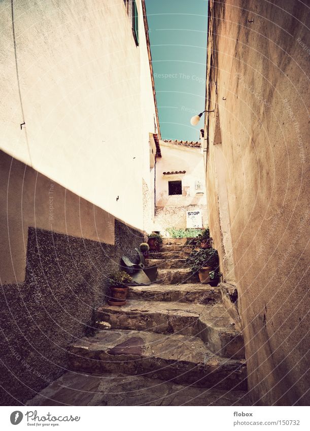 summer warmth Majorca Spain Village Backyard Alley Siesta House (Residential Structure) Vacation home Vacation & Travel Summer Stairs Tourism Town Historic