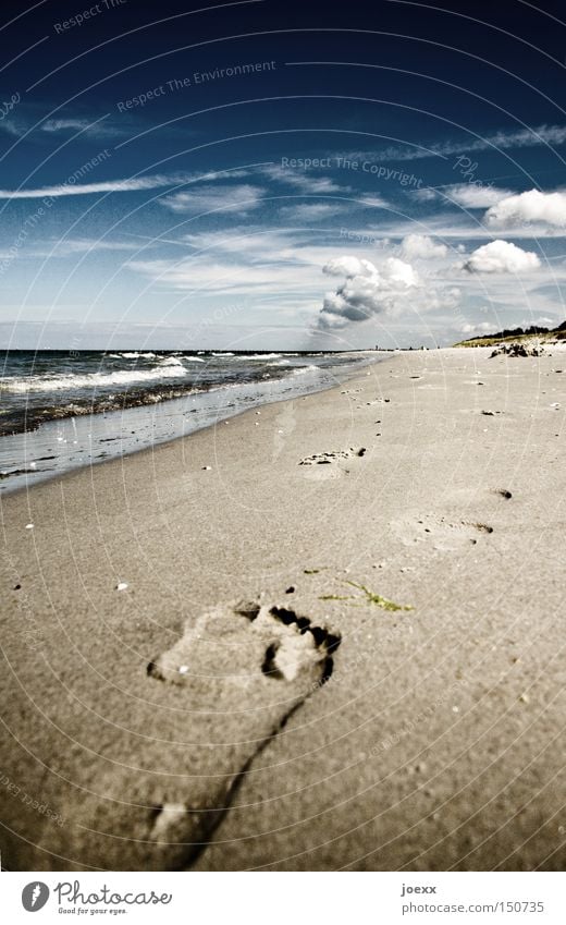 barefoot girl Barefoot Relaxation Footprint Sky Ocean Mussel Calm Sandy beach Lake To go for a walk Tracks Beach Vacation & Travel Water Waves Clouds Coast