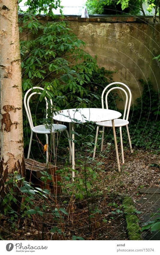 010 cozy cookies.jpg Chair Table Tree Wall (barrier) Garden refugium Shadow snug