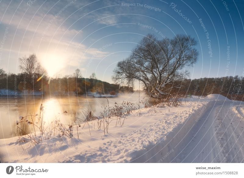 Sunny winter morning on a river Winter Snow Nature Landscape Sky Clouds Fog Tree Grass Bushes Meadow Field Forest River bank Blue Yellow Black White water Frost