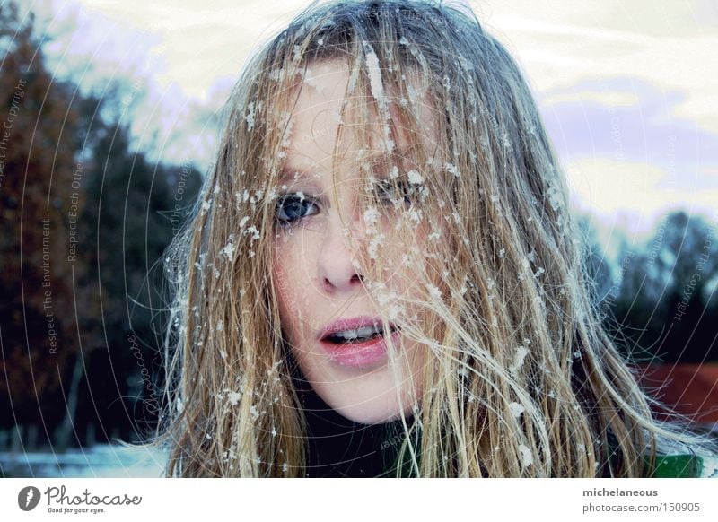 flakes fixed. Snow Flake Hair and hairstyles Face Cold Tree Winter Portrait photograph Joy Brown White Blonde Woman Beautiful Snapshot