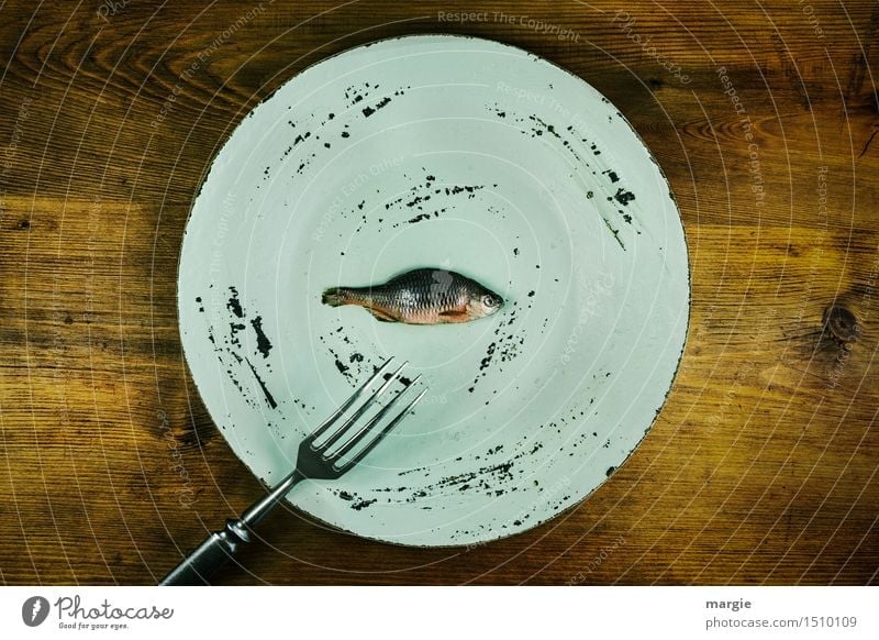 Fish dish: a plate and a fork with a tiny fish on top Food Nutrition Lunch Dinner Organic produce Diet Fasting Plate Fork Healthy Overweight Cook Brown Green
