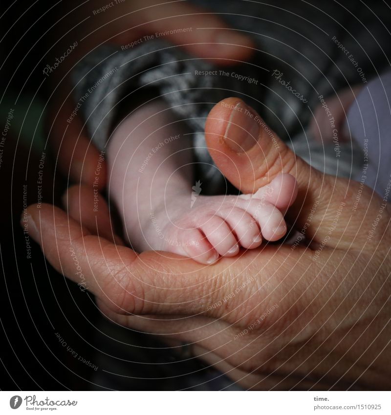 love 'n' care Masculine Baby Father Adults Hand Feet 2 Human being To hold on Emotions Contentment Passion Acceptance Trust Protection Safety (feeling of)