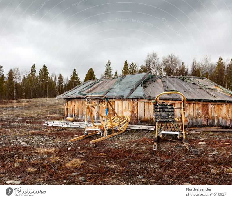 dog sledges Adventure Far-off places Freedom Landscape Clouds Climate Climate change Bad weather Forest Village Deserted House (Residential Structure) Hut