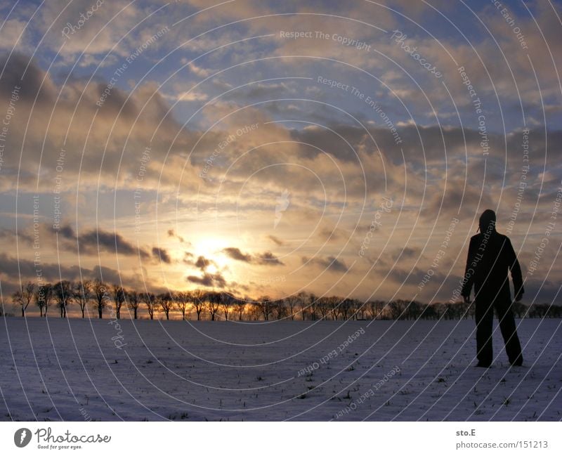 factual Human being Snow Nature Landscape Far-off places Sunset Avenue Field Posture Looking Winter Sky Moody Cold Brandenburg