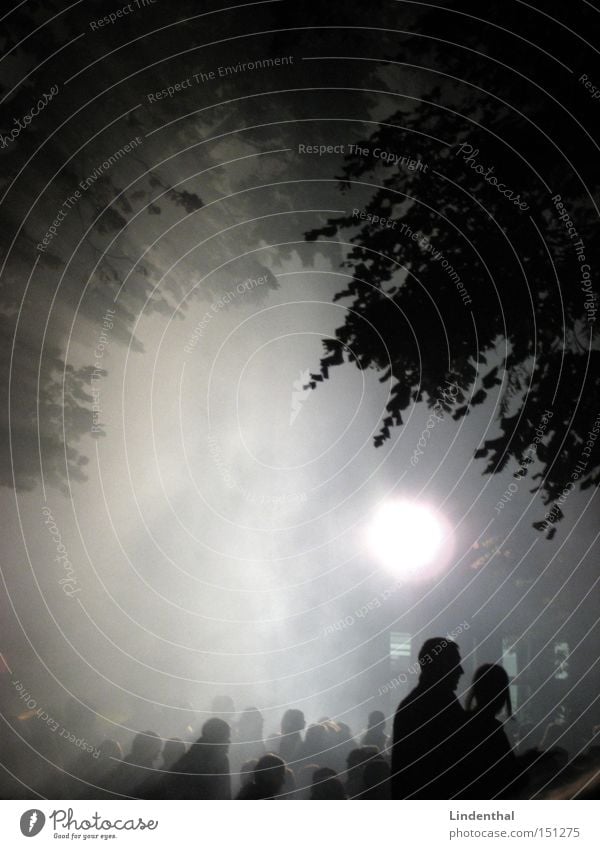 Fog of Concert Fog bank Light Sun Leaf Tree Human being Audience Night Feasts & Celebrations Music Group Couple In pairs