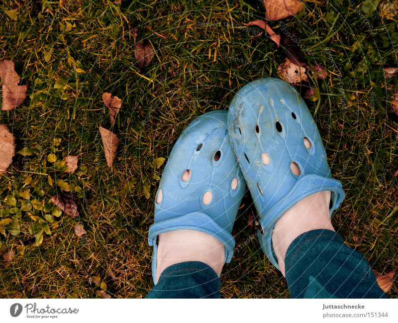 Socks are luxury Footwear Shuffle Blue Autumn Garden Gardener Meadow Leaf Feet Barefoot Legs Boredom Juttas snail
