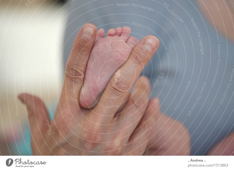 Baby feet 1 Arm Hand Fingers Feet Toes 0 - 12 months Lie Exceptional Uniqueness Funny Happy Joie de vivre (Vitality) Safety (feeling of) Fingernail