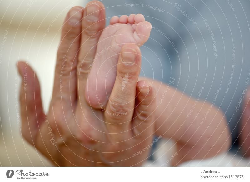 Baby feet 3 Hand Fingers Feet Joy Happy Happiness Contentment Joie de vivre (Vitality) Trust Safety Protection Safety (feeling of) toe Toes Toenail